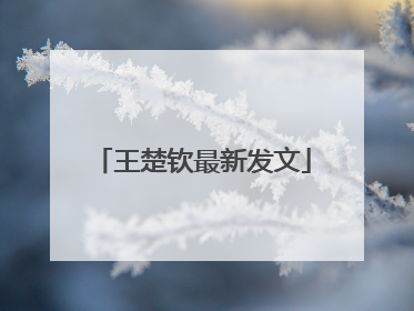 王楚钦最新发文